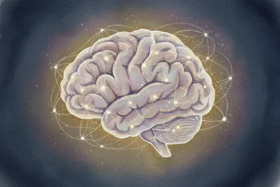 Neuroscience