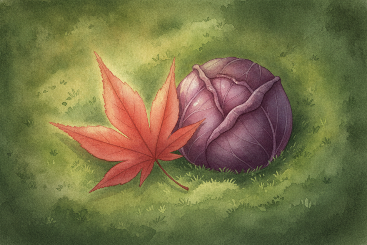 **A few rebels do break the rules**. Red maples, purple cabbages, and deep-burgundy leaves carry extra pigments stacked 