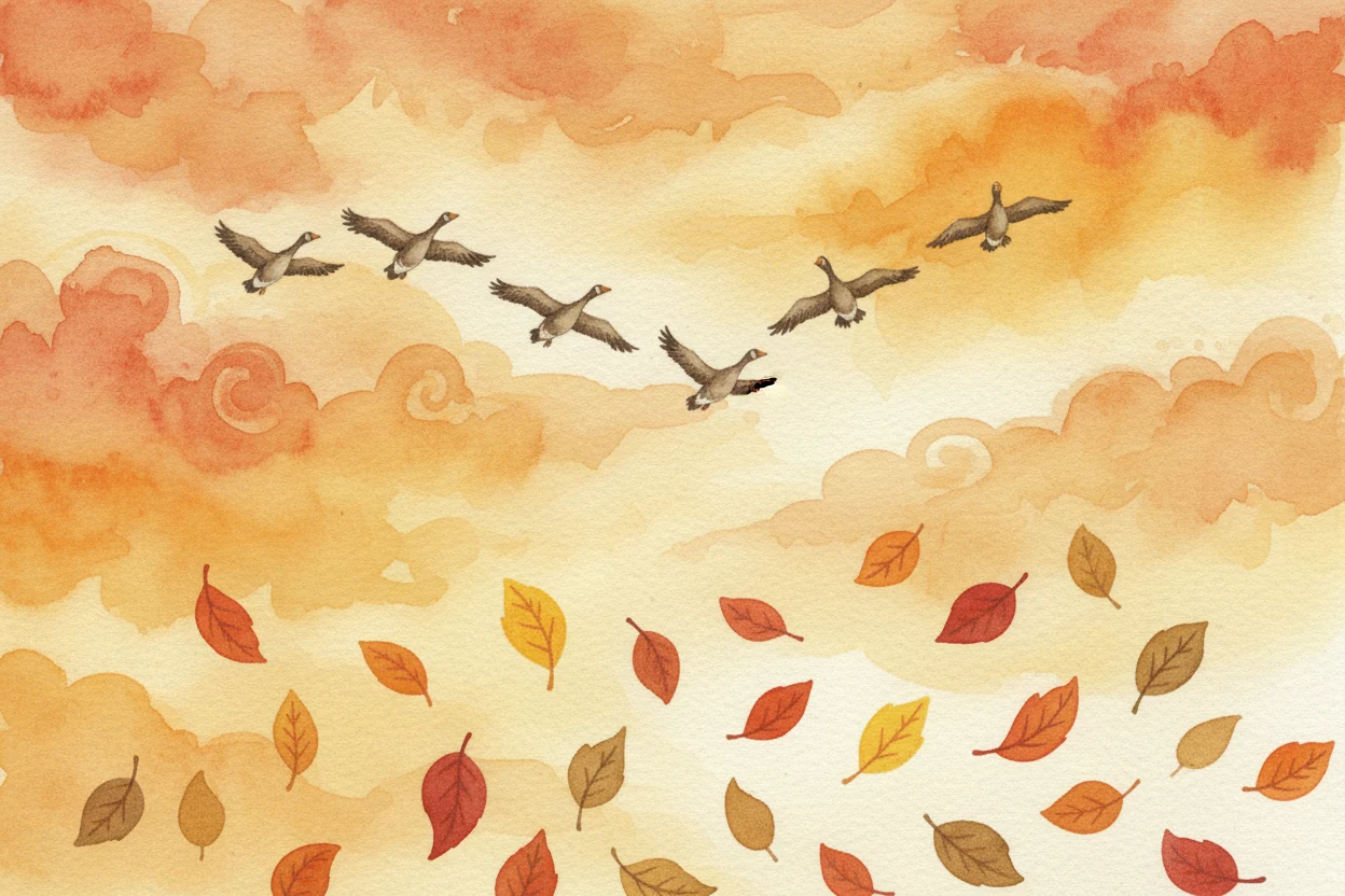 Why do birds migrate?