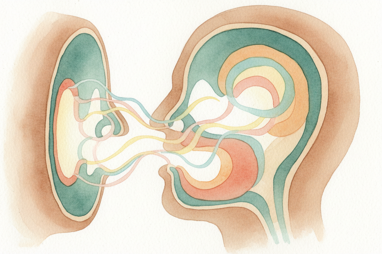 ~~Next stop:~~ your throat, mouth, and nose become a **custom sound studio**. The vibration from your cords bounces arou