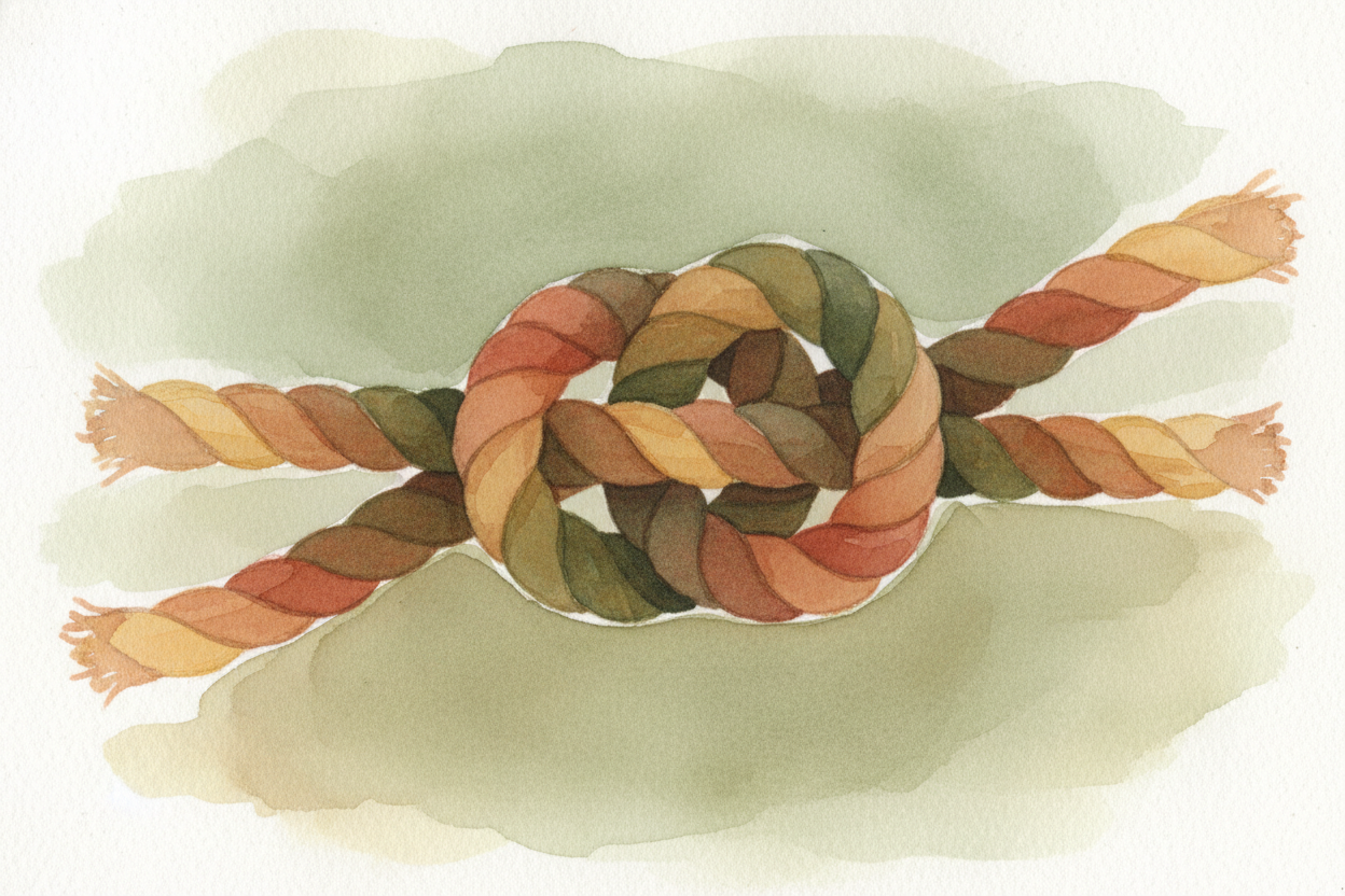 The simplest real knot — the overhand knot, the one you start your shoelaces with — has exactly this **double lock**. Th