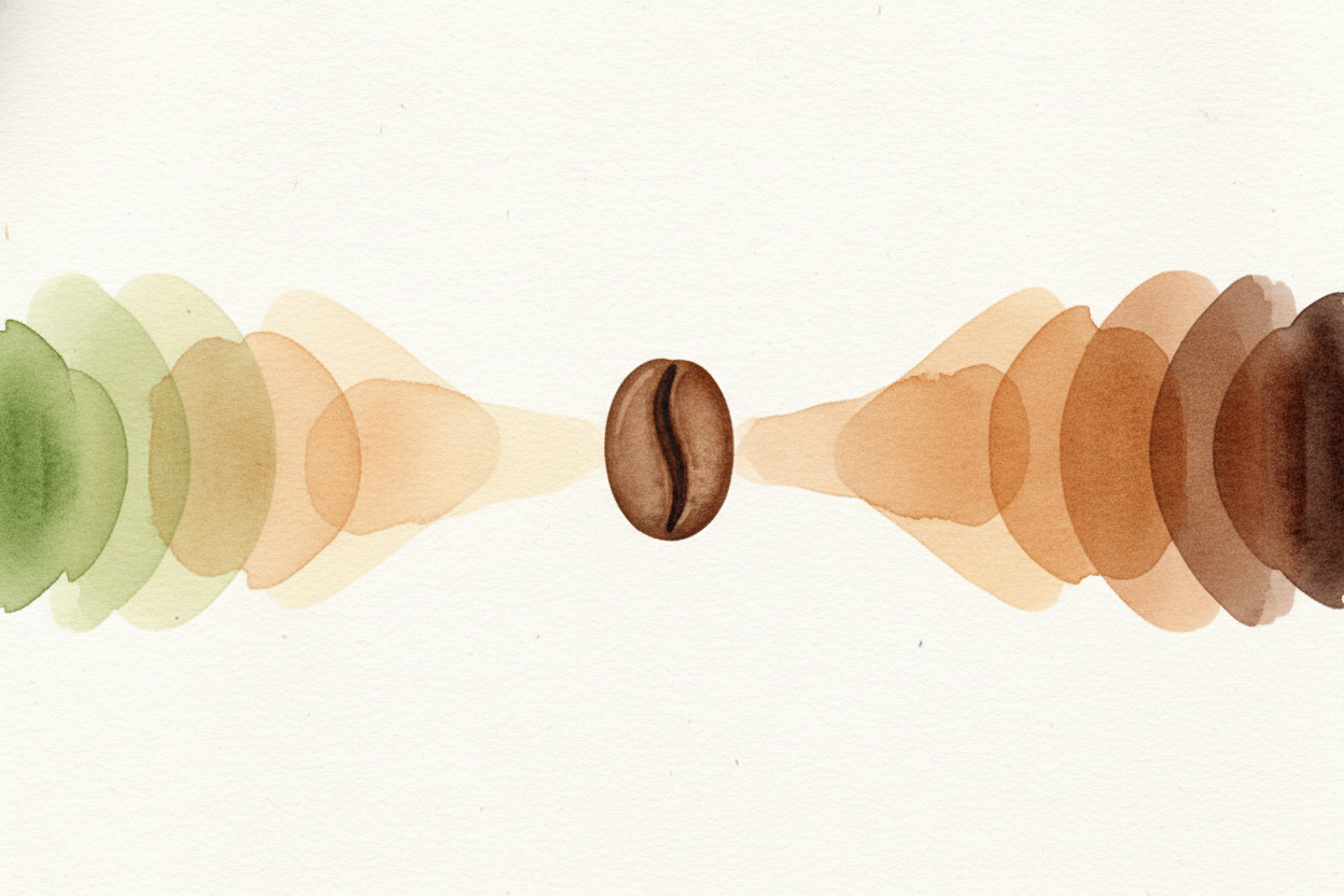So the "same bean" isn't really the same at all. Roasting is a *controlled transformation* — **a little heat gives you f